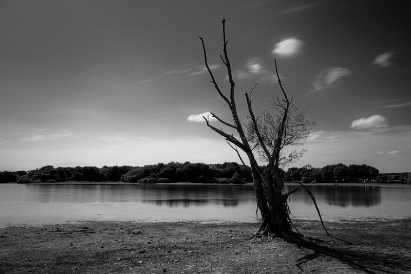 2017_07_31_Etang de Vaux (0033).jpg - Etang de Vaux